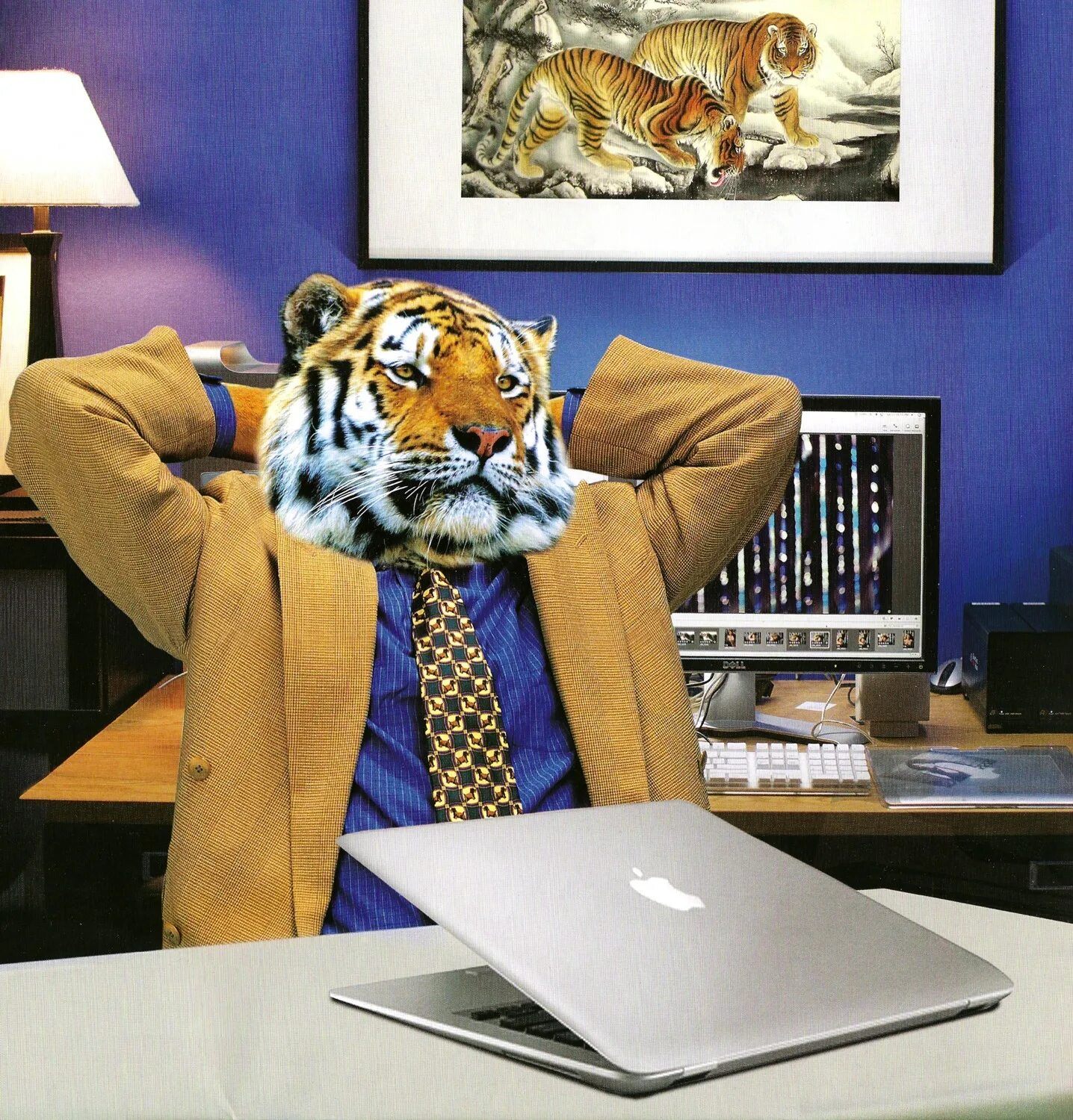 Тигр работа. Тигр работа. Тигр в индии. Тигр работа. Тигрица.