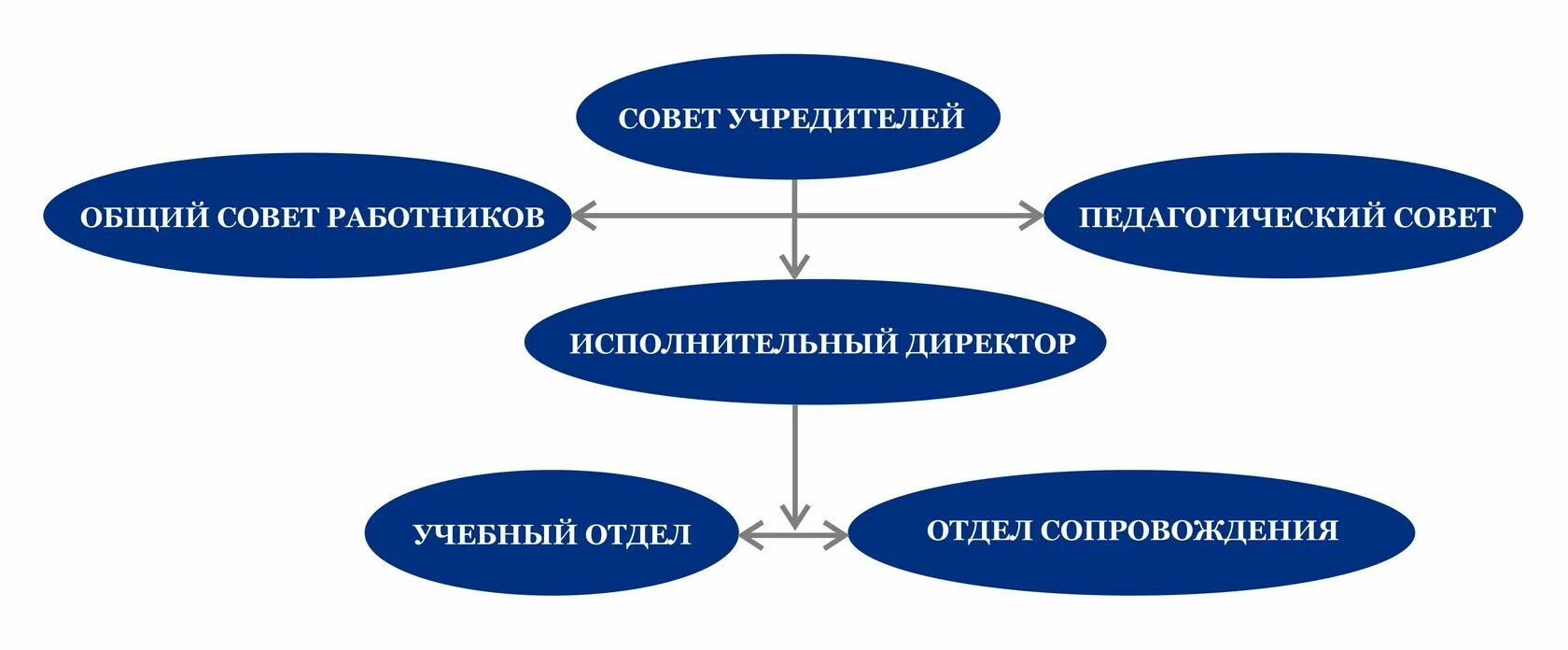 Функции совета учредителей. Состав совета учредителей. Шаблон совет учредителей. Единоличный исполнительный орган организационная структура. Полномочия учредителя муниципального учреждения