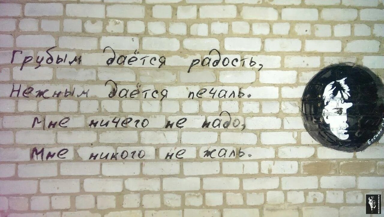 Ничего не жаль слова. Грубым даётся радость нежным даётся печаль. Стихотворение грубым дается радость нежным дается печаль. Стихи Есенина грубым дается радость нежным дается печаль. Мне ничего не жаль.