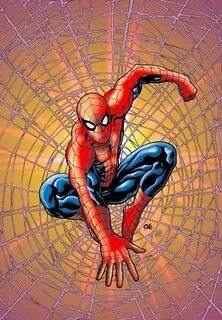 Spider man 2024