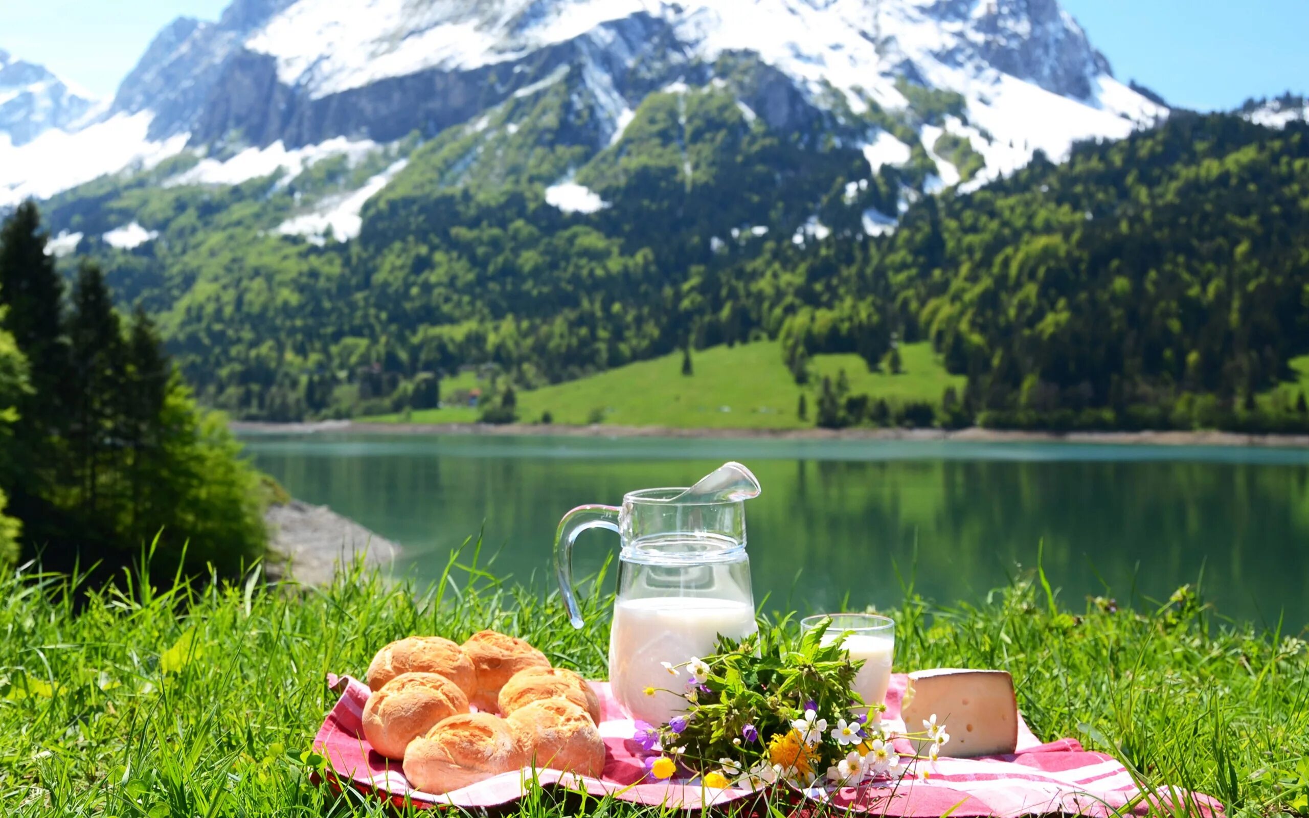 Отдых выходного дня россия. Завтрак на природе. Завтрак в горах на природе. Пикник на природе. Красивый завтрак на природе.