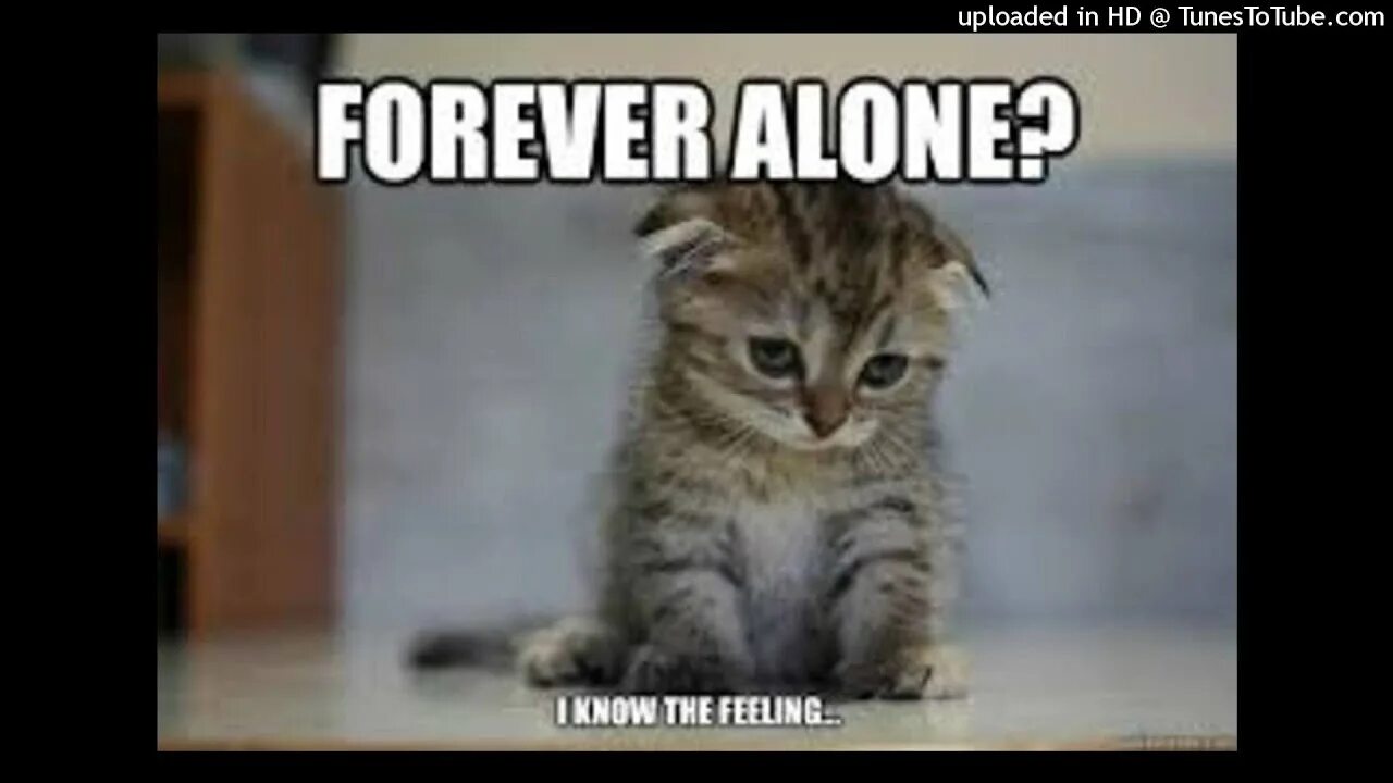 Did you leave me. Leave meme. Sad Kitty. Promise me that you ll never leave me. Promise me that you ll never leave me furry.