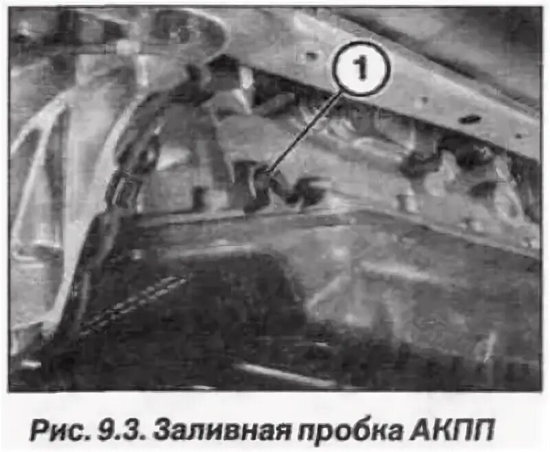 Как проверить масло в коробке бмв. Акпп bmw x5 e53. пробка уровня масла акпп бмв е83. заливная пробка акпп е53. бмв х5 заливная пробка акпп.