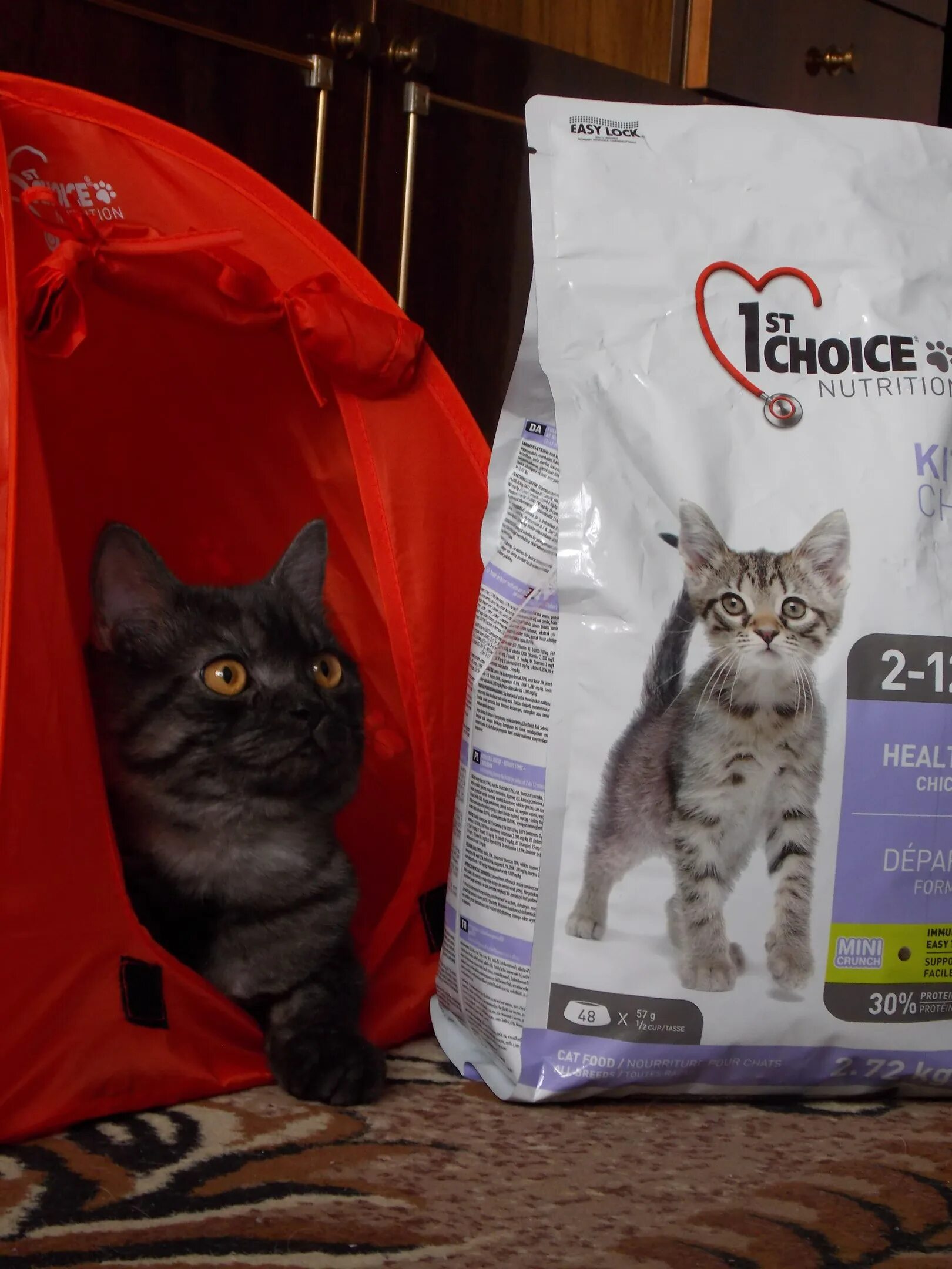 Купить корм для кошек choice