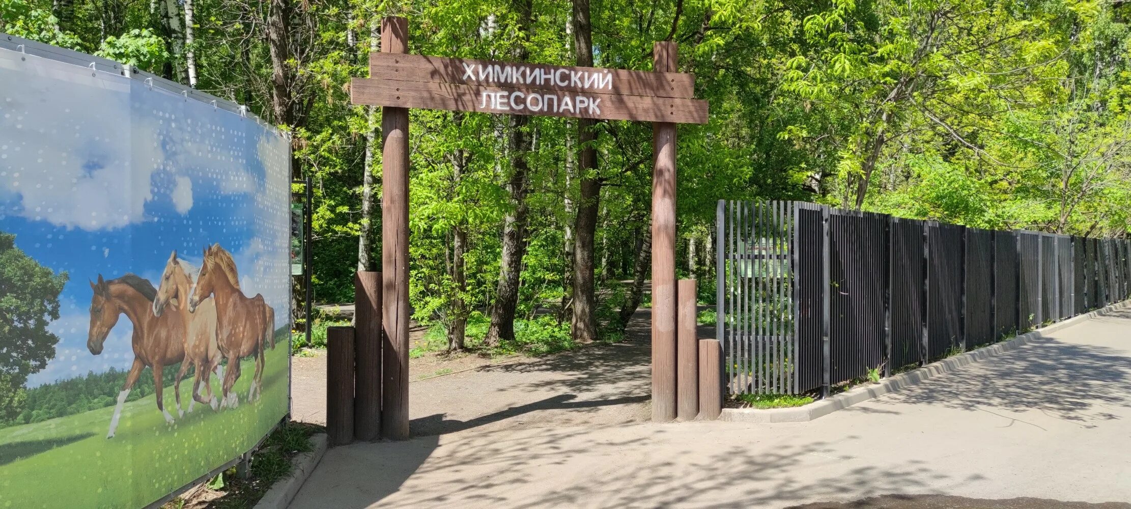 Площадка для пикника № 5 Ландшафтный заказник Химкинский - map4child.ru