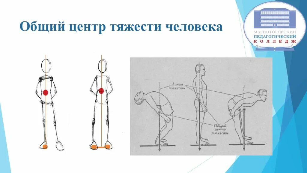 Центр тяжести. Общий центр тяжести. Основной центр тяжести человека. Центр массы тела человека.