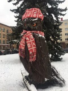 Филин брянск