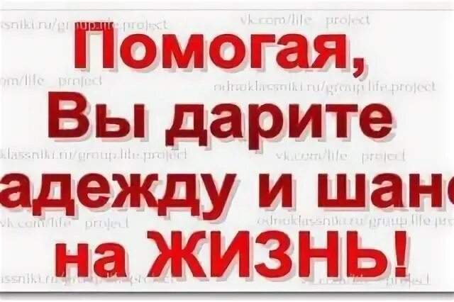 Помогите погасить долг за передержку. Долги в клинике помогите оплатить. Помощь в оплате передержки. Помогите оплатить передержку и лечение.