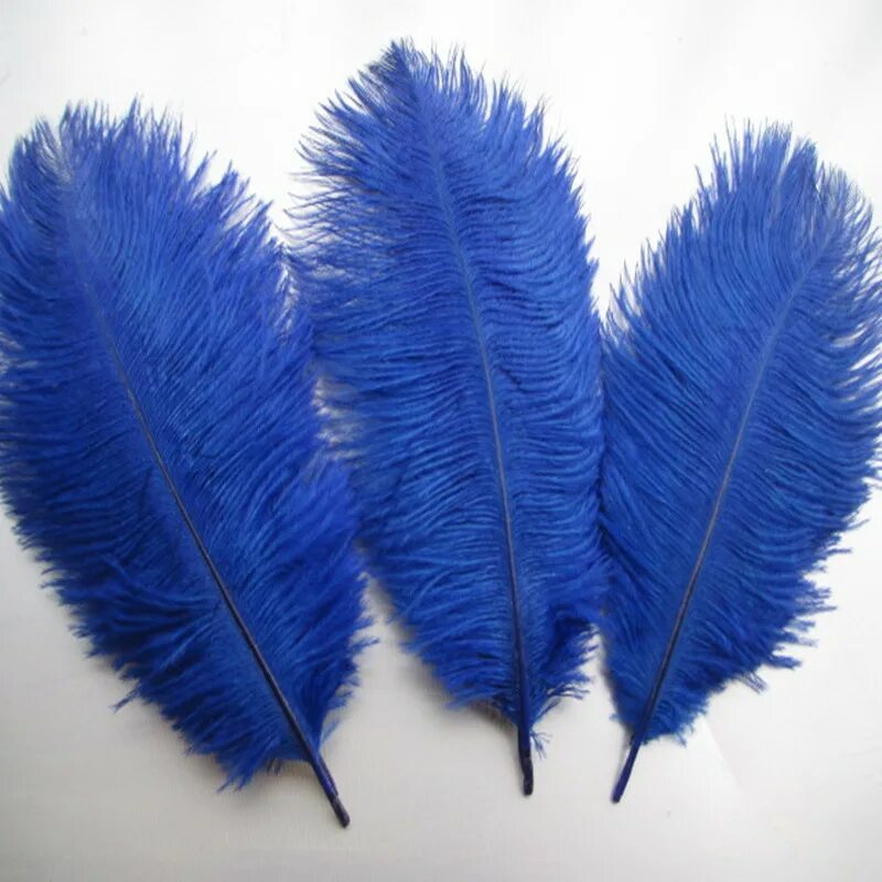 Необычные перья птиц. Длинные перья. Необычные перья. Перо декоративное длинное. Птицы с длинными перьями.
