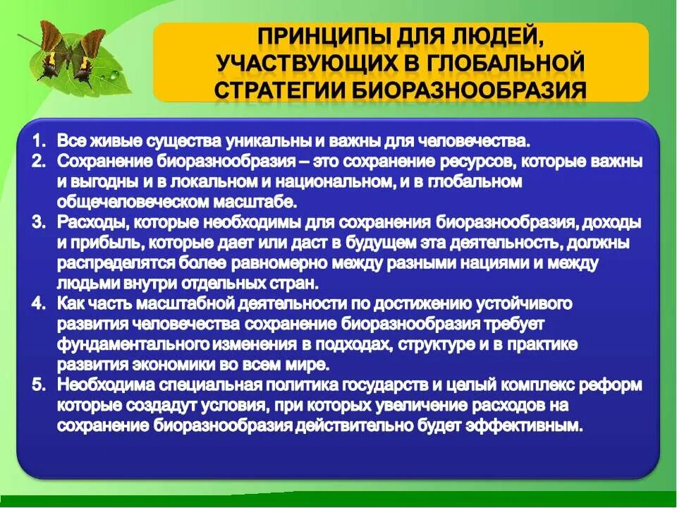 Почему важно сохранять биологическое разнообразие. Причины сохранения биоразнообразия. Почему важно сохранять биологическое разнообразие. Почему важно охранять биологическое разнообразие. Зачем нужно сохранять биологическое разнообразие.
