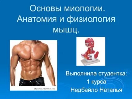 Физиология мышц