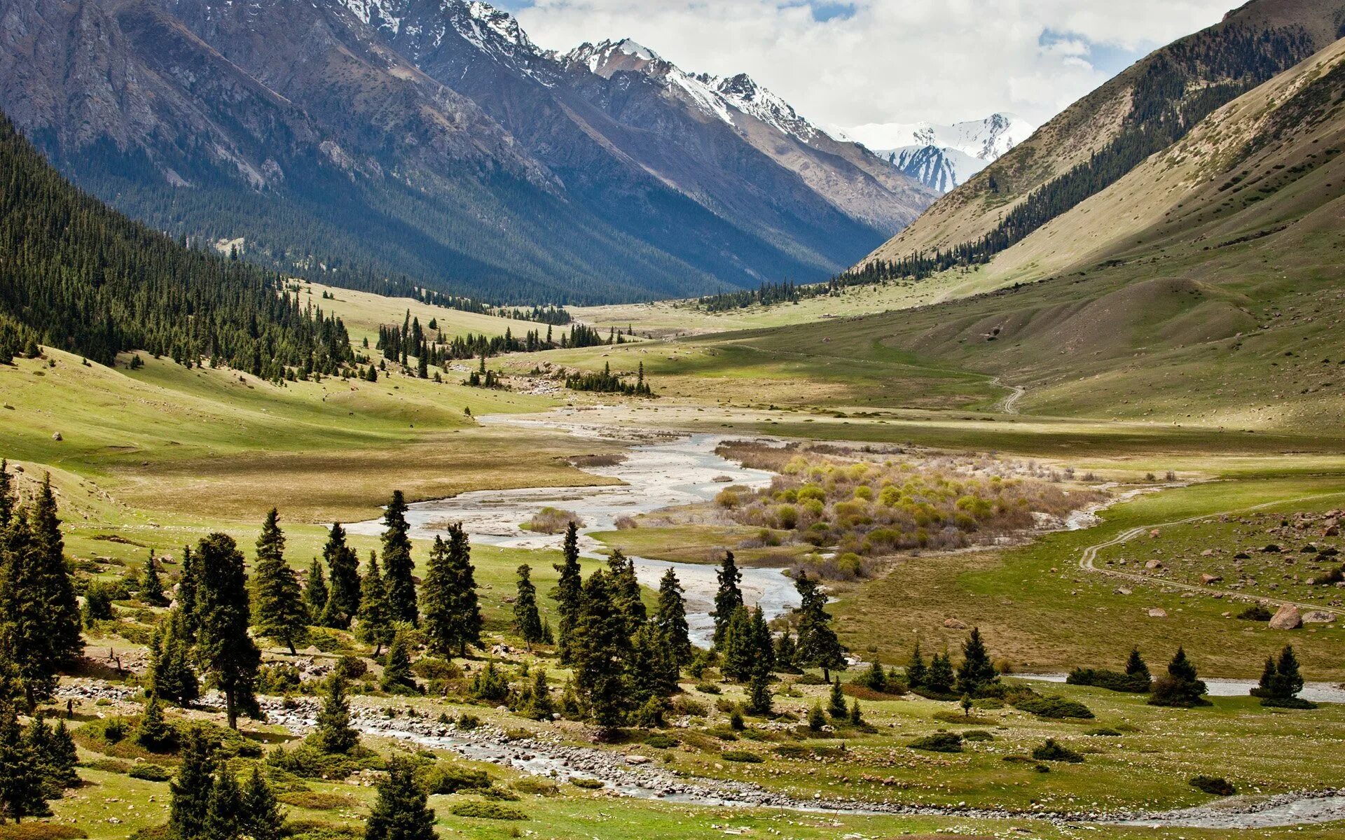 Южная киргизия. Ущелье Джууку Киргизия. Киргизия Луга Тянь-Шаня. Киргизия горы Долина Арашан. Альпийские Луга Киргизии.