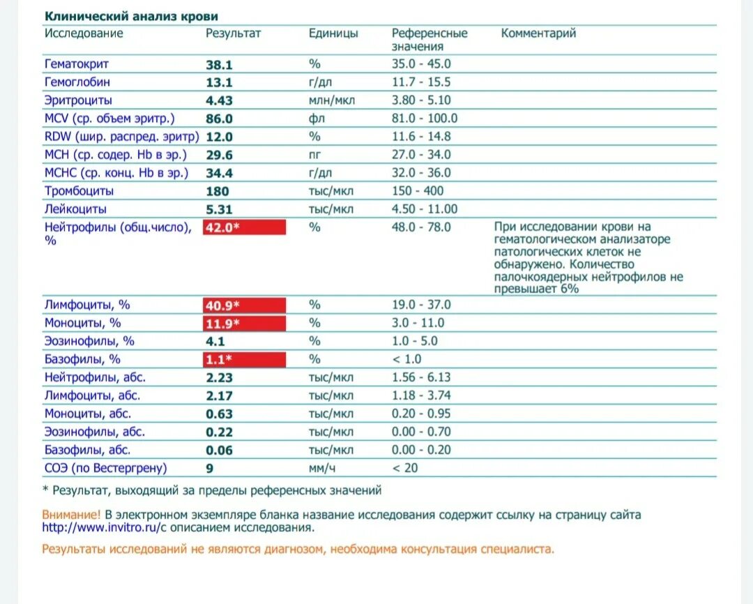 Повышены базофилы в крови что это значит. Моноциты в анализе крови норма. Общий анализ крови эозинофилы базофилы. Повышение моноцитов в крови. Базофилы что это такое в анализе крови.