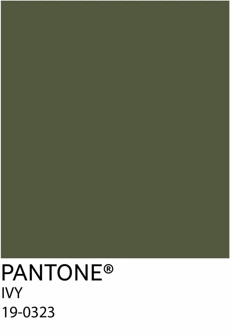 Памятные цвета. Olive Green цвет. Pantone Green Olive. Пантон серо зеленый. Темно зеленый цвет пантон.