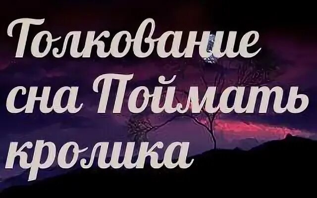 К чему снится поймать кролика во сне. Сонник-толкование поймать кролика. Сонник к чему снится кролик. К чему снится поймать орла во сне. Догнать во сне