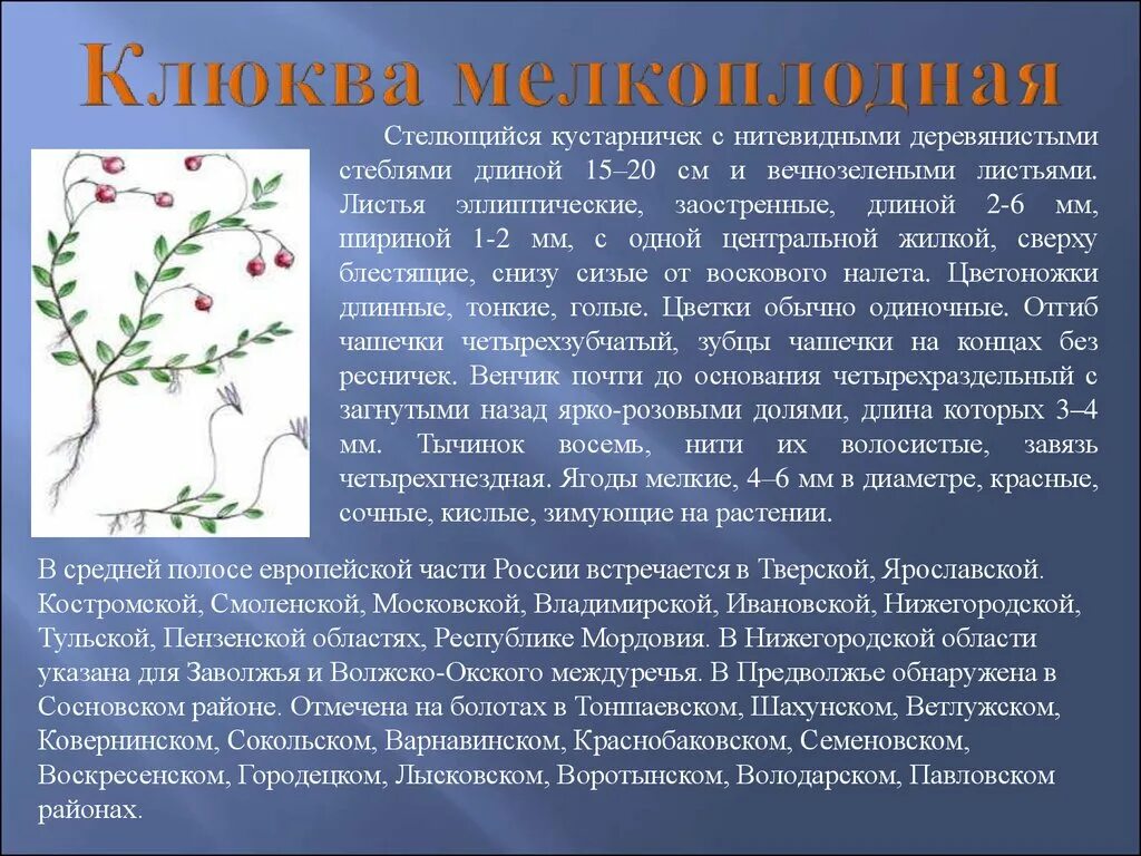 Красная книга россии нижегородская область. Растения красной книги Нижегородской области. Растения и животные Нижегородской области занесенные в красную книгу. Нижегородская красная книга животные и растения. Краснокнижные животные и растения Нижегородской области.