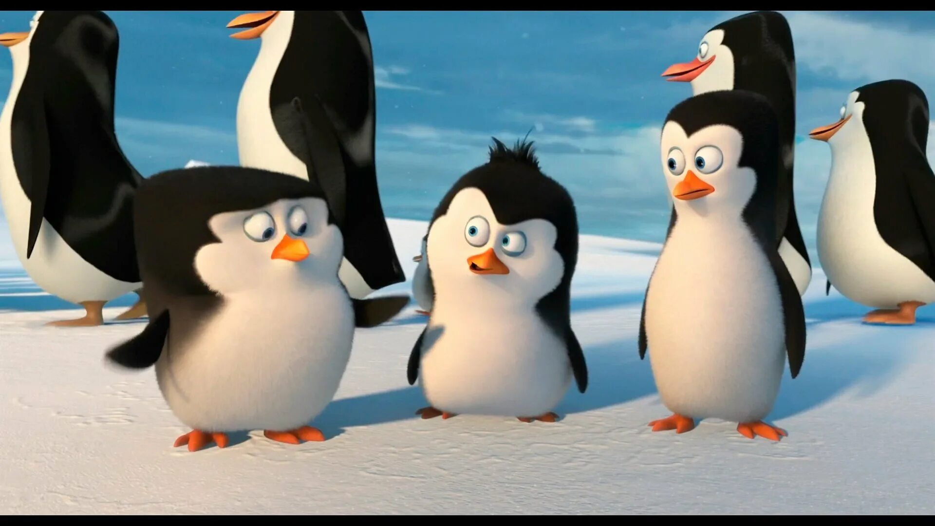 Пингвины Мадагаскара прапор. Пингвины из Мадагаскара маленькие. Пингвиненок "Лоло".