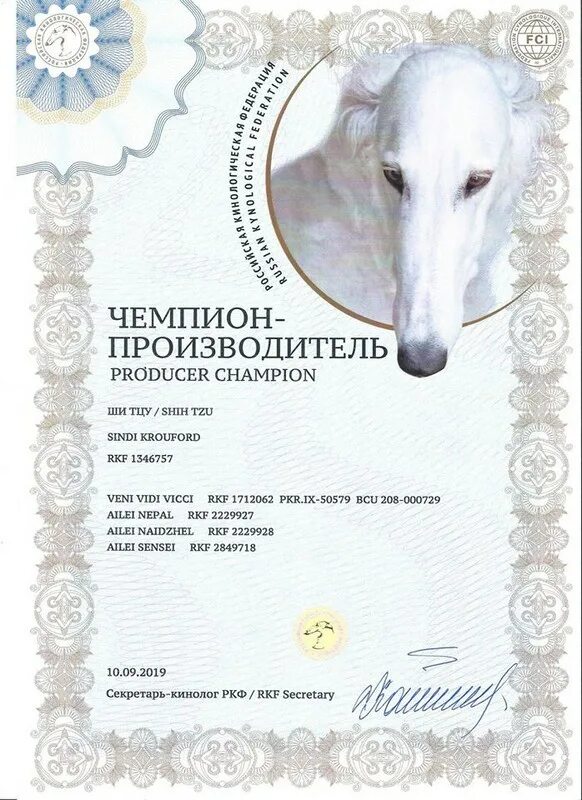 Айрон кид питбуль. Gr ch sparky 6xw. Титул гранд чемпион ркф. Гранд чемпион собаки. Гранд чемпион собаки.
