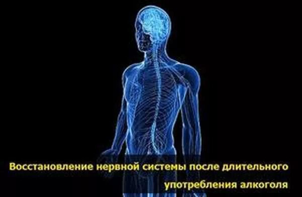 Восстановление нервной системы. Восстановить нервную систему. Как восстановить ЦНС. Восстановление нервной системы после длительного стресса. Восстановление нервов после операции