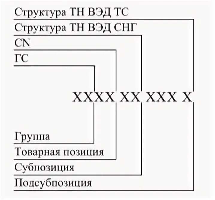 Коды товарной группы. Структура кода тн ВЭД ЕАЭС. Структура кода тн ВЭД. Структура товарного кода. Код тн ВЭД структура кода.