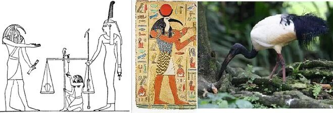 тот египетский бог мудрости. ах египетская мифология. ибис птица египет бог. бог сет в древнем египте рисунок. бог мудрости.