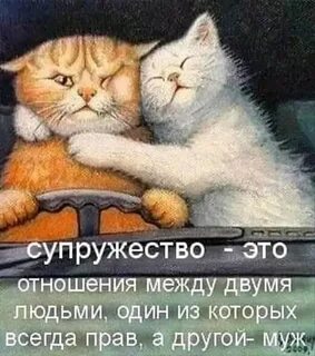 Супружество это