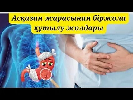 Украинаның гомосексуалдар армиясы