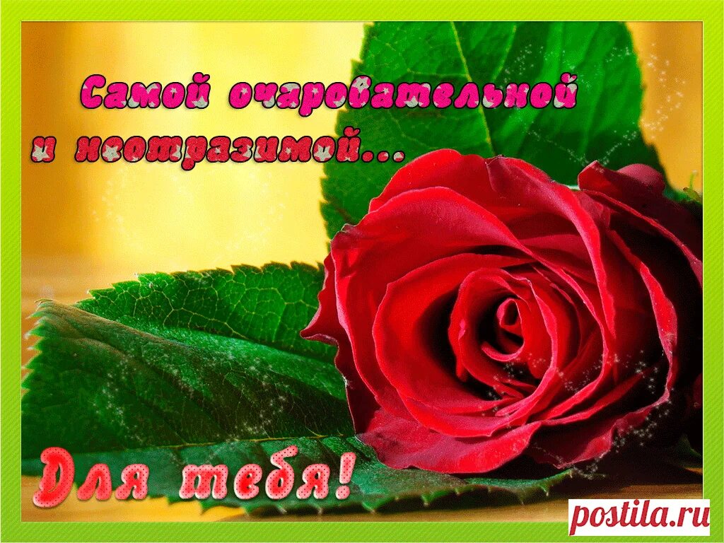 Цветы для красотки. Очаровательные цветы. Ты такая красивая и очаровательная. Цветы для индиры. Ты прекрасна.