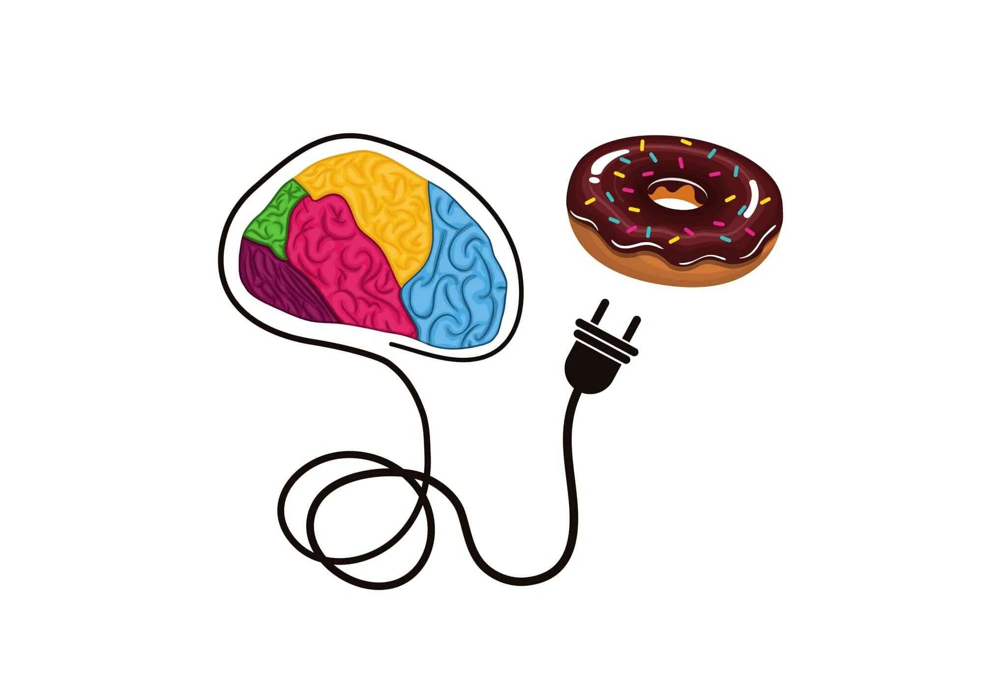 Еда для мозга. Мозг и сладкое. Сахар и мозг. Продукты для ума и памяти. Мозг и еда дэвида