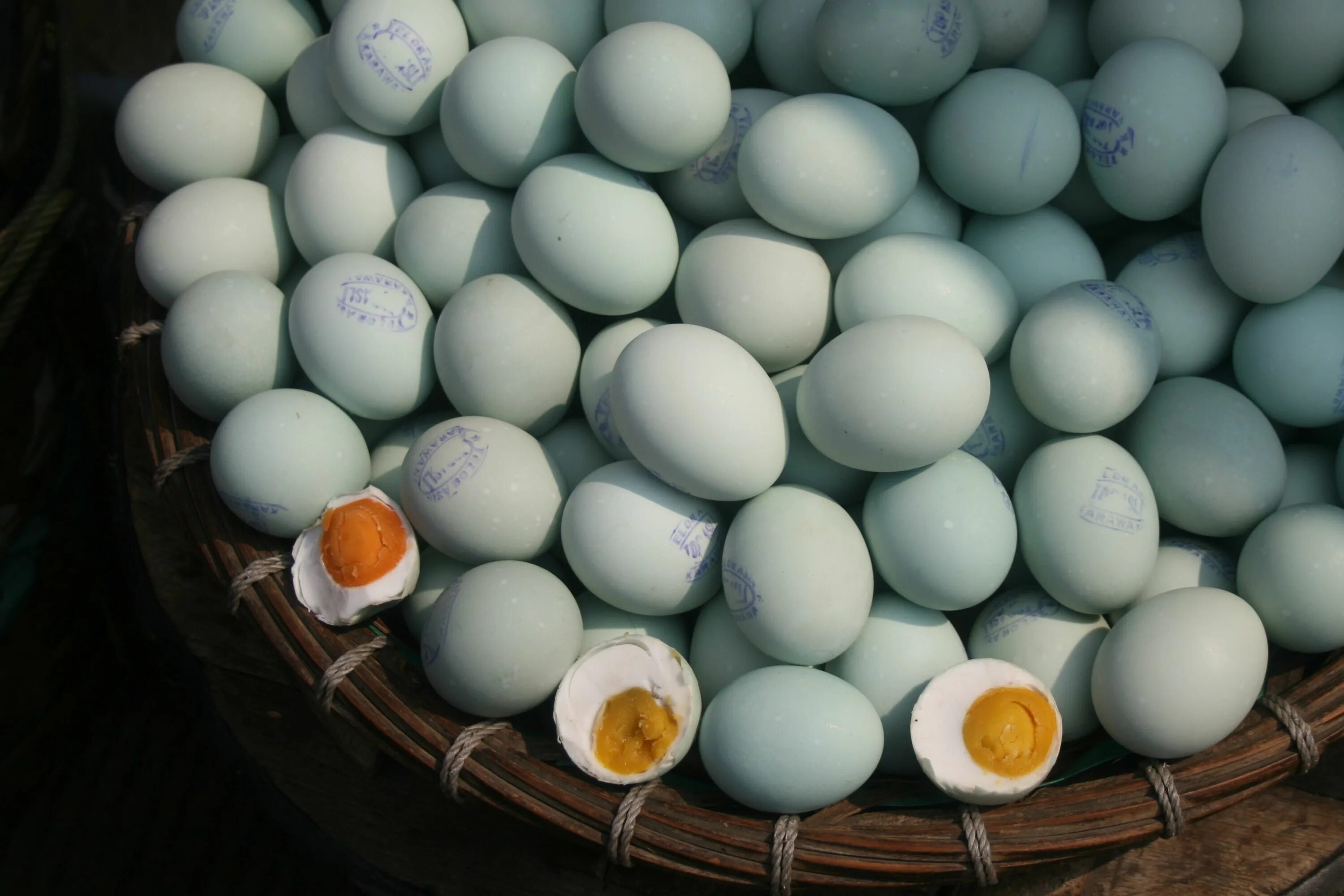 Купить 4 яйца. Утиные яйца. Яйцо утки. Яйцо кряквы. Утка с яйцом.