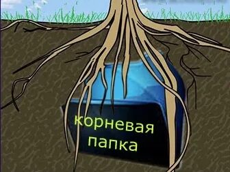 Где находится корневая папка