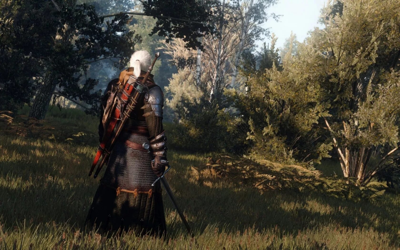 Witcher 3. The Witcher 3 Дикая охота. The Witcher 3: Wild Hunt (Ведьмак 3).