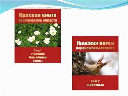 4 растения и животные красной книги