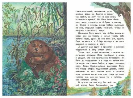Почему медведь дремучий