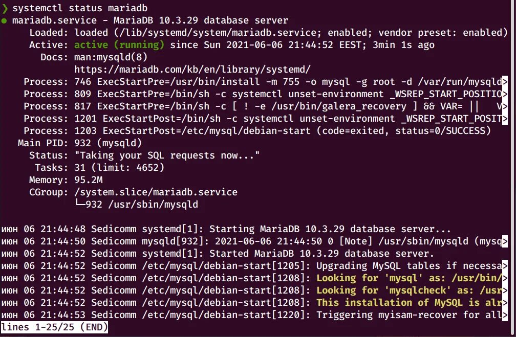 Systemctl start. Systemctl status. Серверный Debian 10. Панель серверов Debian. Debian Server запуск.