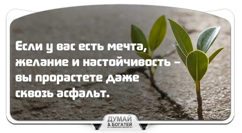 Настойчивость в труде 8 букв. Упорство в достижении цели. Упорство и настойчивость в достижении цели. Цитаты про настойчивость. Упорство высказывания.