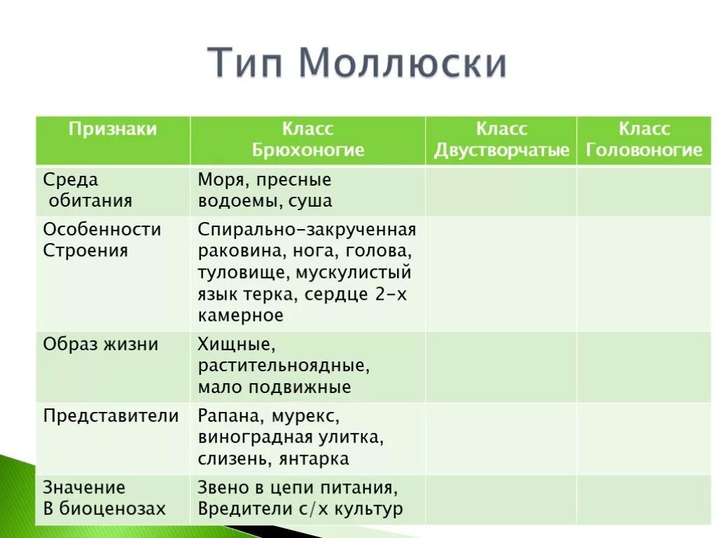 Обитания брюхоногие. Среда обитания брюхоногих двустворчатых головоногих. Класс брюхоногие моллюски особенности строения. Среда обитания двустворчатых моллюсков таблица 7. Класс двустворчатые моллюски среда обитания.