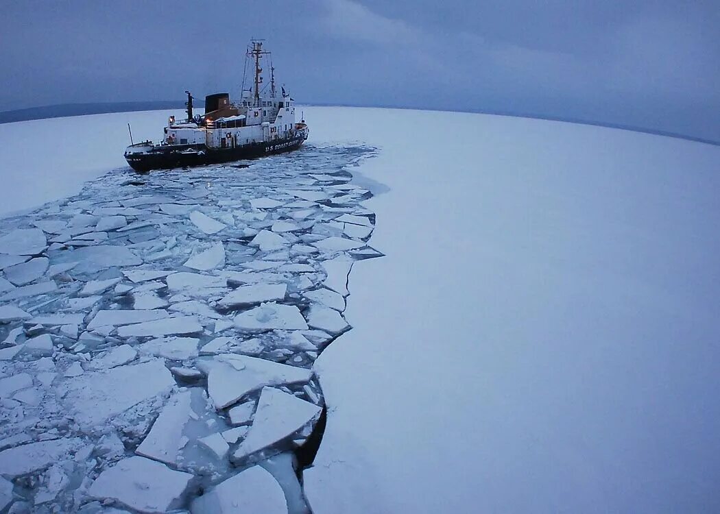 Ледокол в Баренцевом море. Ледокол Диксон Архангельск. Ледокол во льдах. Арктика корабль. Мелкий лед на воде