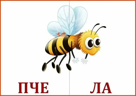Пчела слоги