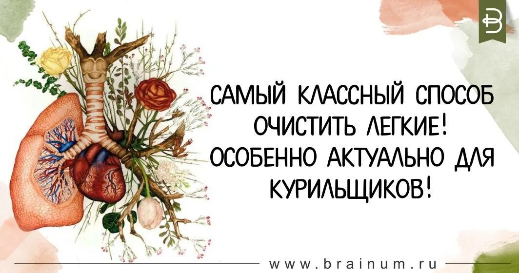Очищение легких. Самый классный способ очистить легкие!. таблетки для очистки легких курильщика. для очищения легких курильщика. народные средства очистить легкие.