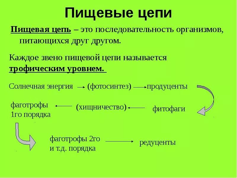 Звенья пищевой цепи биология 5 класс. Понятие пищевая цепь. Определенипишивая цепь. Звенья пищевой цепи. Пищевая цепь определение.