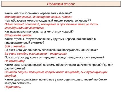 Органы передвижения кольчатых червей