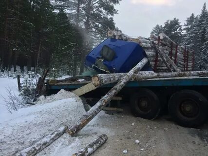 Новости птз