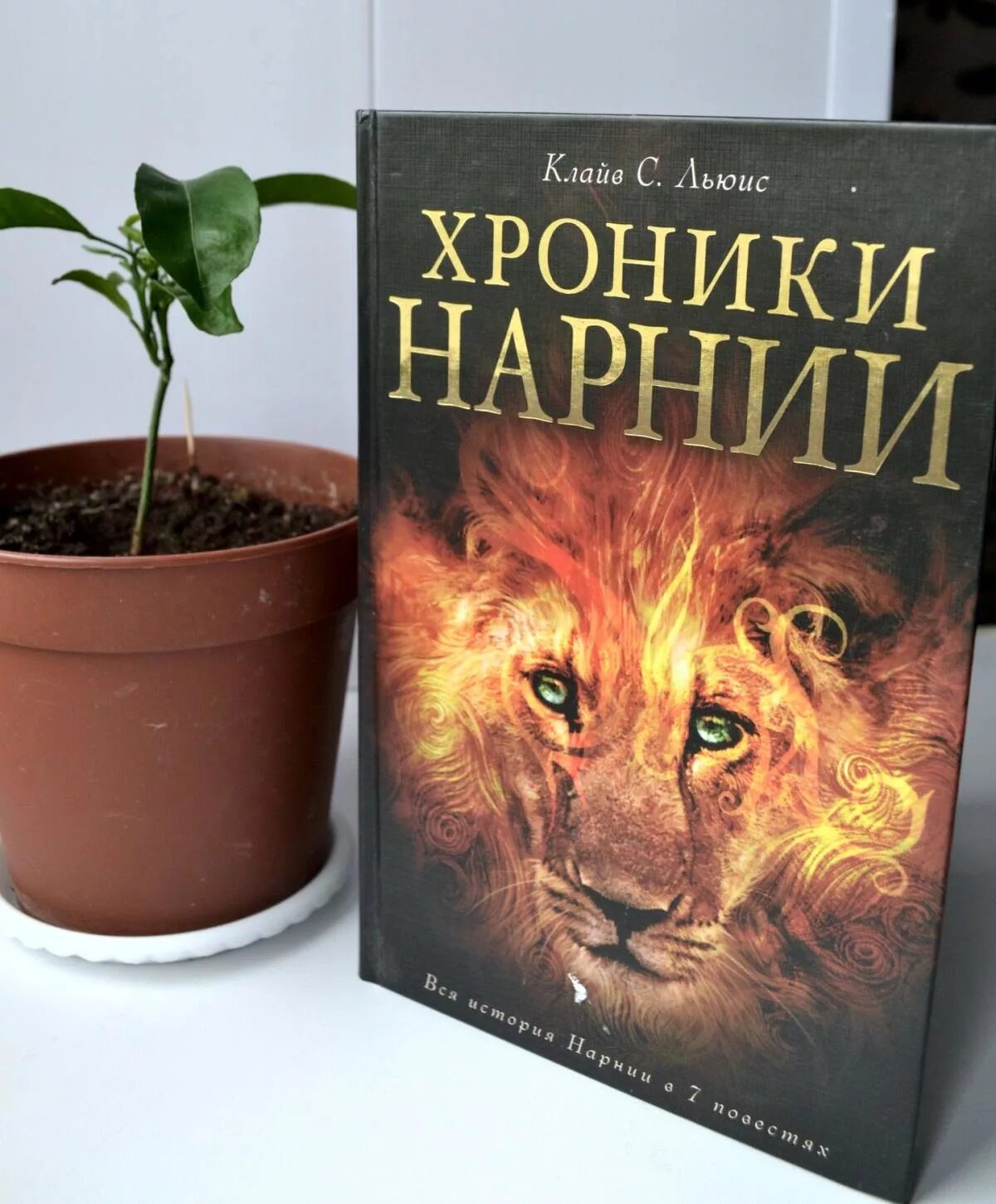 льюис кэрролл хроники нарнии. клайв стейплз льюис хроники. льюис кэрролл хроники нарнии. клайв льюис «хроники нарнии». клайв льюис хроники нарнии.