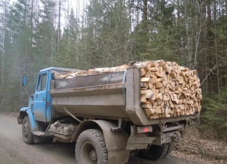 Сколько дров в камазе. ЗИЛ 131 колотые дрова. ЗИЛ 130 С дровами. Машина ЗИЛ 130 дрова. ЗИЛ 131 С дровами.