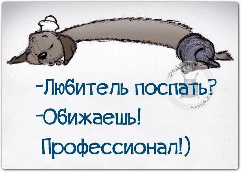 день любителей поспать картинки прикольные с надписями. день любителей поспать картинки прикольные с надписями. день любителей поспать картинки прикольные с надписями. поздравления с днём любителей поспать. открытки с днем любителей поспать.