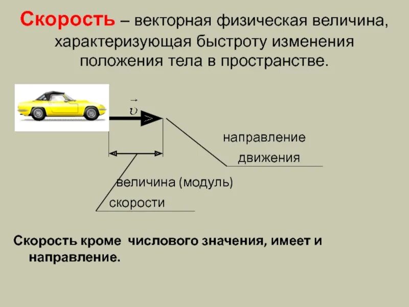 Скорость Векторная величина. Скорость физическая величина. Векторные физические величины. Акопость Векторная величина. Назови величины движения