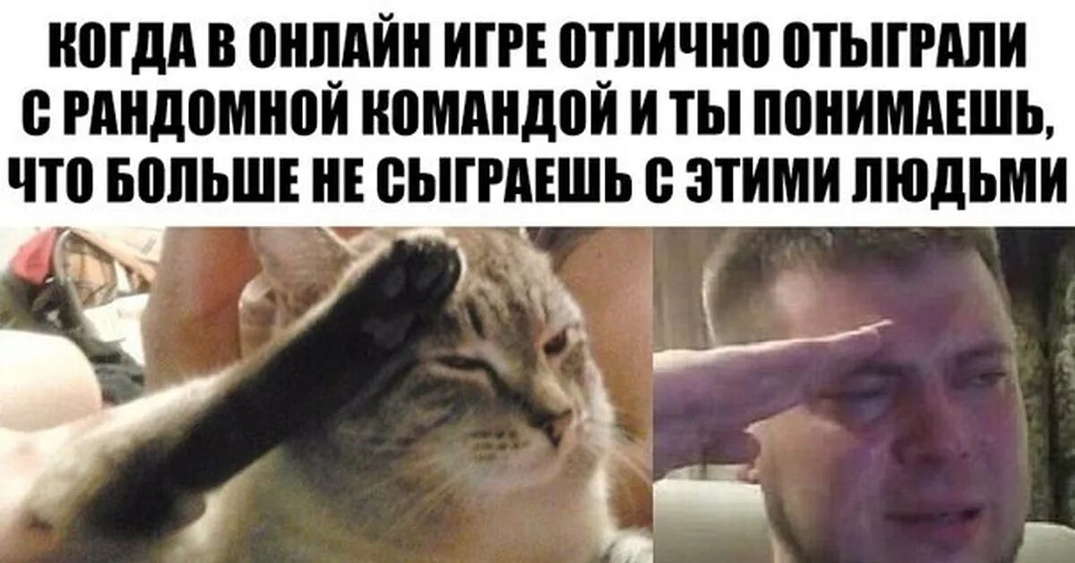 Что значит рандомный