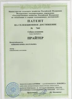 Срок патента на селекционное достижение