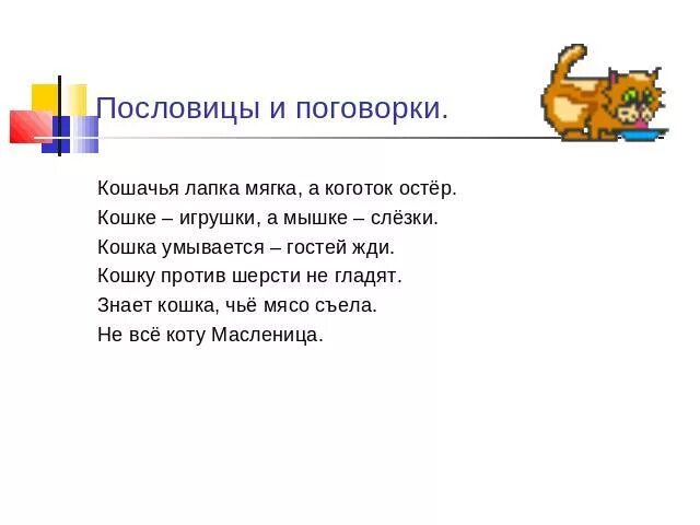 Пословицы о кошках. Пословицы про кошек для детей. Поговорки о котах. Пословицы о котах. Поговорки про кошек